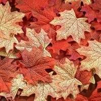 Algopix Similar Product 17 - Fall Maple Leaves in a Mixture of