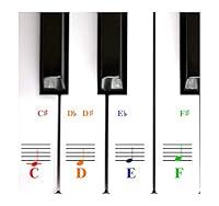 Algopix Similar Product 19 - Piano Keyboard Note Stickers for White
