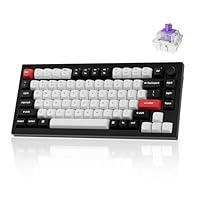 Algopix Similar Product 5 - Keychron Q1 HE Wireless Custom