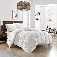 Algopix Similar Product 13 - New York  Company Easeland Comforter