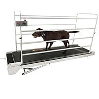 Algopix Similar Product 13 - GoPet Treadmill Giant (<264lbs)