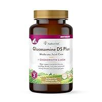 Algopix Similar Product 18 - NaturVet Glucosamine DS Plus Level 2