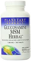 Algopix Similar Product 13 - Planetary Herbals Glucosamine MSM