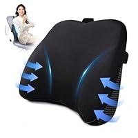 Algopix Similar Product 10 - Dreamer Car Lumbar Support Pillow for