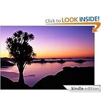 Algopix Similar Product 20 - A Bright New Dawn: Let the Journey Begin