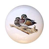 Algopix Similar Product 5 - Wood Duck  Ducks  DECORATIVE Glossy