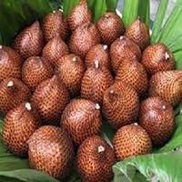 Algopix Similar Product 1 - 50pcs brown Salak Fruit Seeds