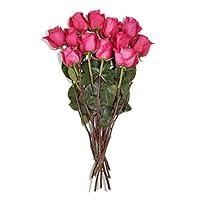 Algopix Similar Product 2 - FLORAL Roses 12 Stem, 1 EA