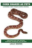 Algopix Similar Product 14 - Corn Snakes as Pets Corn Snake facts