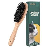 Algopix Similar Product 14 - Boar Bristle Cat Brush with Wooden