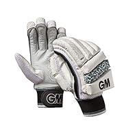 Algopix Similar Product 4 - GM Premium 303 Cricket batting gloves 
