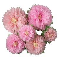 Algopix Similar Product 8 - Mybbshower Pinks Flowers Decoration