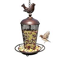 Algopix Similar Product 11 - Tenforie Wild Bird Feeder Panorama