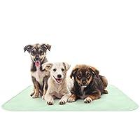 Algopix Similar Product 6 - Puppy Pads Pet Training Mat Quick