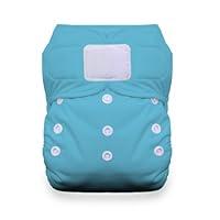 Algopix Similar Product 4 - Thirsties Duo All in One Cloth Diaper
