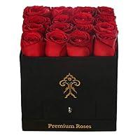 Algopix Similar Product 8 - Premium Roses Real Roses That Last a