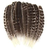 Algopix Similar Product 4 - CCINEE 15pcs Natural Turkey Feather