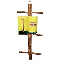 Algopix Similar Product 20 - Ware Manufacturing Twisted Ladder Lg.