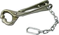 Algopix Similar Product 18 - Neogen Ideal D 13.5' Bull Lead/Chain