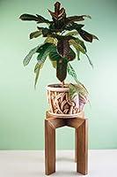 Algopix Similar Product 20 - Mid Century Wood Plant Stand Indoor 