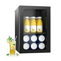 Algopix Similar Product 2 - DOGHLY 09 Cuft Beverage Refrigerator