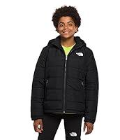 Algopix Similar Product 19 - THE NORTH FACE Boys Reversible Mount