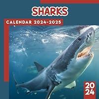 Algopix Similar Product 20 - Sharks Calendar 2024 Animals Calendar