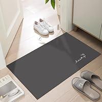 Algopix Similar Product 6 - LYGLIGH Thin Door Mats for Inside