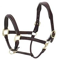 Algopix Similar Product 20 - Ovation Fancy Raised Padded Halter Dk