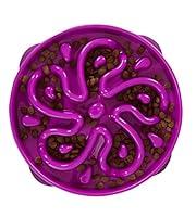 Algopix Similar Product 5 - Outward Hound Fun Feeder Slo Bowl Slow