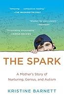 Algopix Similar Product 6 - The Spark A Mothers Story of