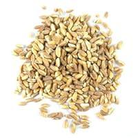 Algopix Similar Product 13 - BULK Organic Pearled Farro, 1 LB