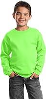 Algopix Similar Product 5 - Port  Company  Youth Core Fleece