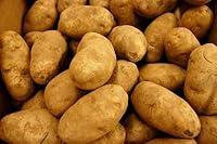 Algopix Similar Product 2 - POTATOES RUSSET FRESH PRODUCE 5 LBS