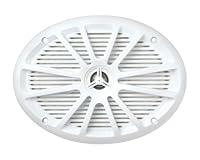 Algopix Similar Product 14 - BOSS Audio Systems MR695 Marine 6 Inch