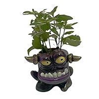 Algopix Similar Product 11 - Monster Pot Planter Flower pot head Air