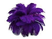 Algopix Similar Product 13 - 12 Lb  1719 Purple Large Ostrich