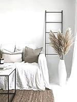Algopix Similar Product 18 - Large Dried Pampas Grass  Dried