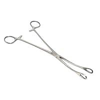 Algopix Similar Product 8 - Foerster Sponge Forceps Straight 