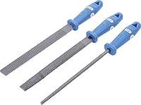 Algopix Similar Product 19 - BGS Diy 50235  Rasp Set  200 mm  3