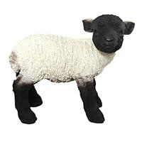 Algopix Similar Product 11 - Vivid Arts Real Life Lamb  BlackWhite