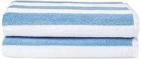 Algopix Similar Product 1 - Amazon Basics Sky Blue Cabana Stripe