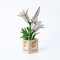 Algopix Similar Product 4 - BENNAMA 3D Wooden Puzzles Gardening