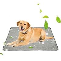 Algopix Similar Product 2 - Jaaytct Pet Cooling Mat for Dogs Cats