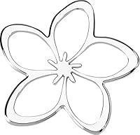 Algopix Similar Product 10 - Cruiser Accessories 83033 Plumeria