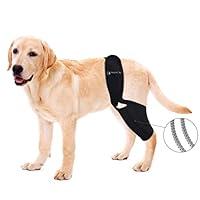 Algopix Similar Product 5 - BaoGuai Knee Brace for Dogs ACL with