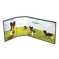 Algopix Similar Product 2 - PetSafe Piddle Place Pet Potty