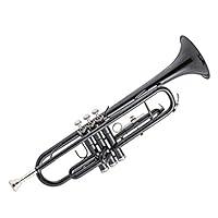 Algopix Similar Product 2 - Kaizer TRP1000BK Standard B Flat Bb