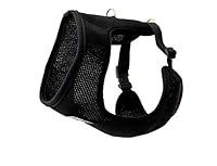Algopix Similar Product 9 - RC Pet Products Cirque Soft Walking Dog
