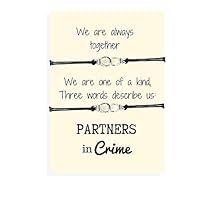 Algopix Similar Product 18 - Carrie Clover Partners in Crime